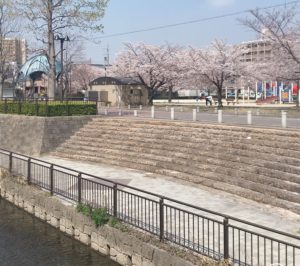 お花見・お弁当|安城市のおすすめカフェ|朝から夜までモーニングもランチも出来る店